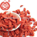 Les baies de Goji exportent sri lanka chinois baies de goji prix frais à vendre